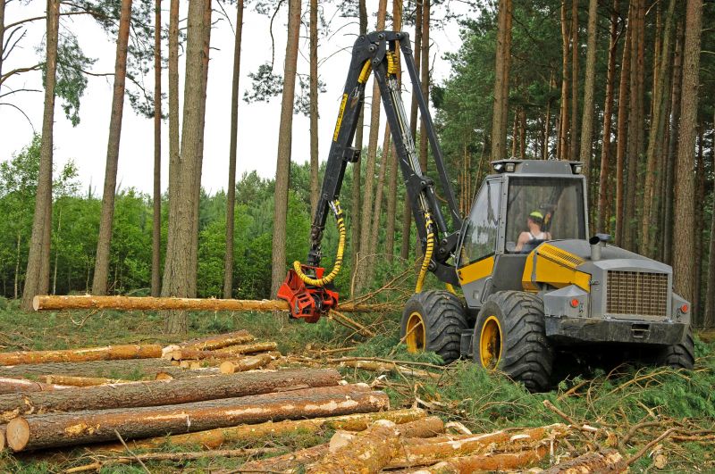 Increase Your Land Clearing Business with an AI Driven, Targeted Website