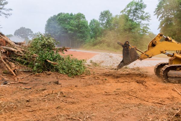 Ground Clearing in Meridian