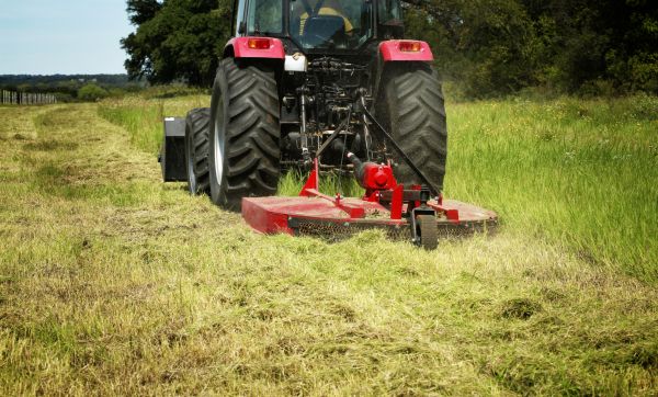 Brush Clearing Service in Meridian