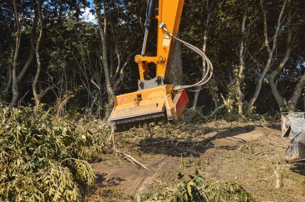 Brush Removal Service in Meridian