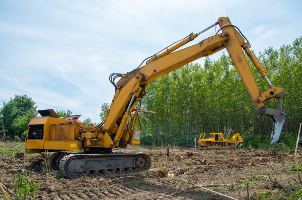 Farm Clearing in Meridian