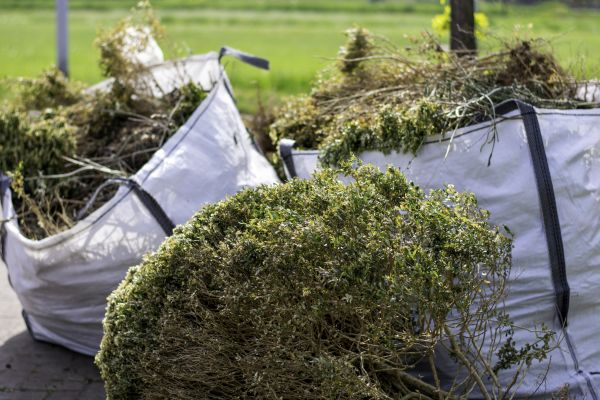 Bushes Clearing in Meridian