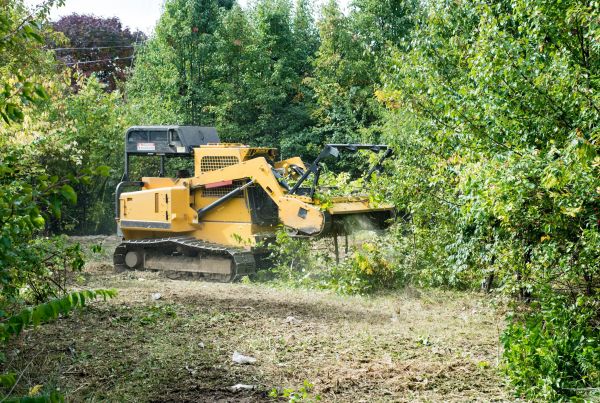 Pathway Clearing in Meridian