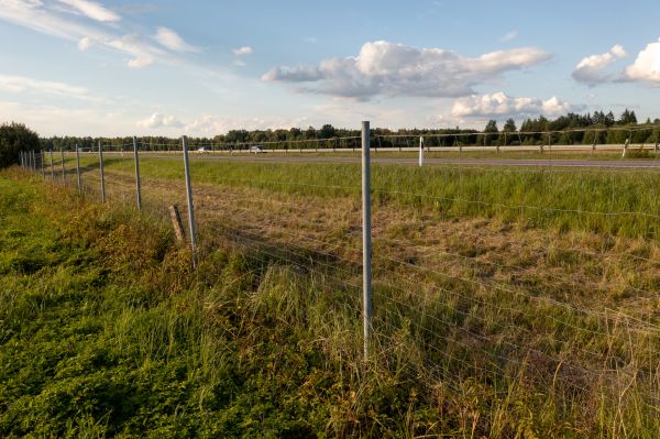 Property Line Clearing in Meridian