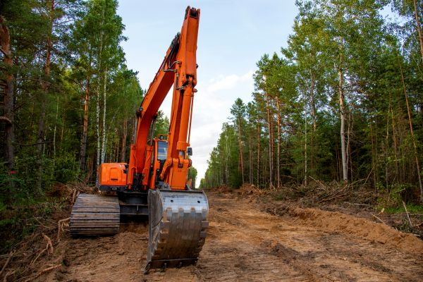 Backhoe Land Clearing in Meridian