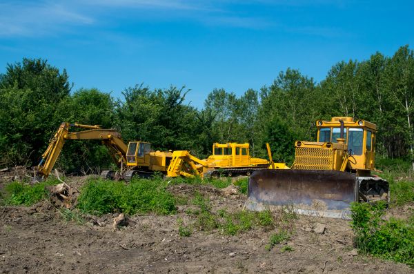 Bulldozer Clearing in Meridian