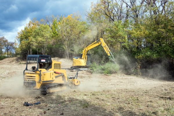 Terrain Clearing in Meridian