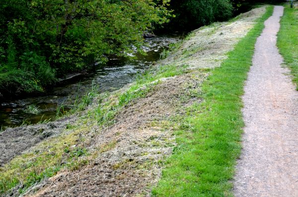 Trail Cutting in Meridian
