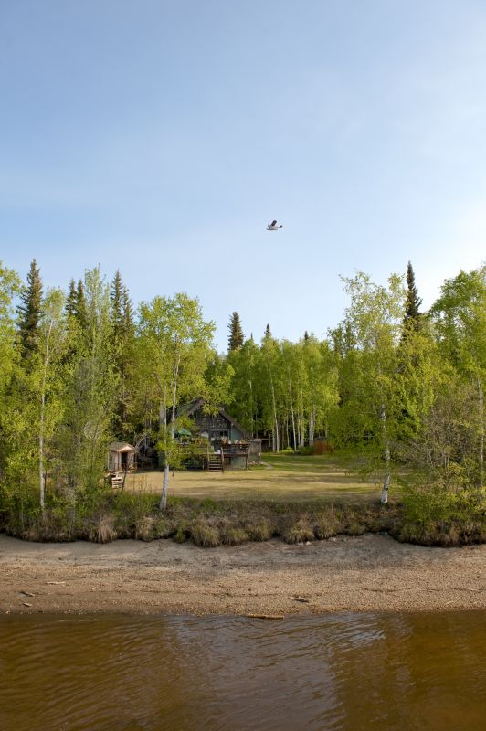 Vegetation Before Clearing
