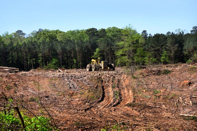 Preparing Land for Construction